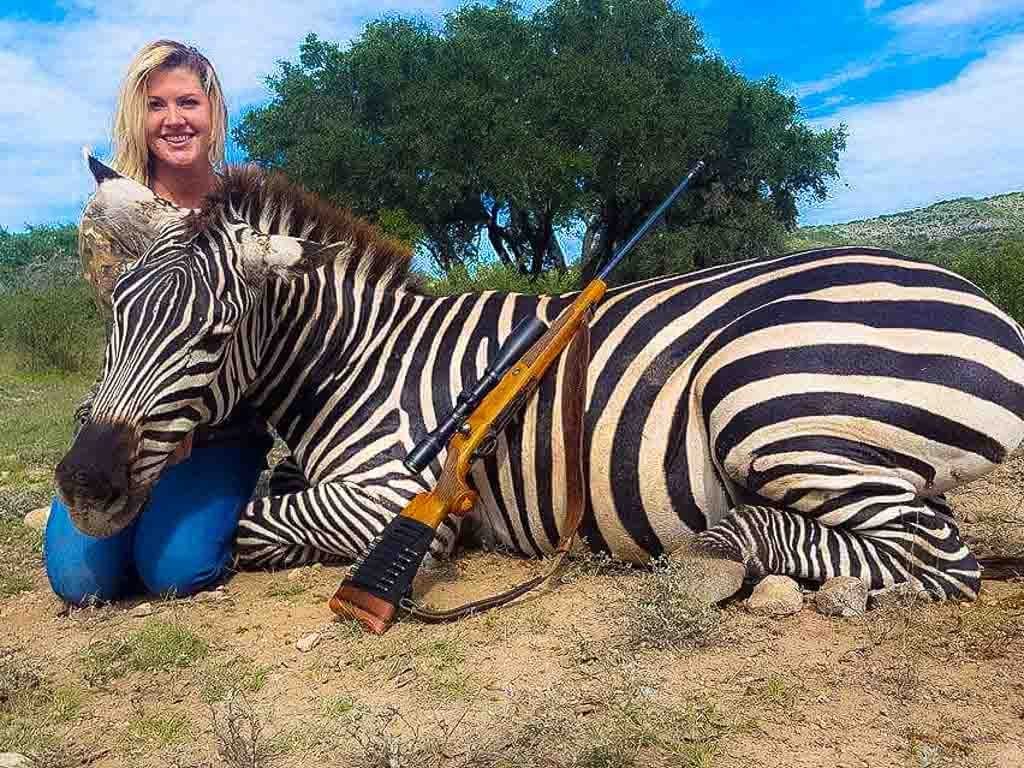 Zebra Hunting