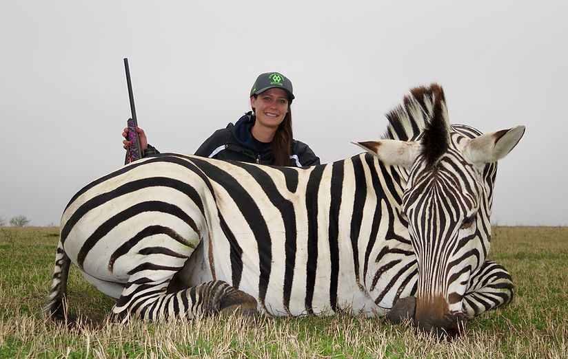 Zebra Hunting in Texas